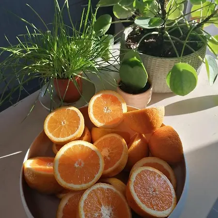 Sea-me Bed & Breakfast