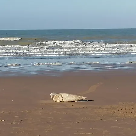 Sea-me Bed & Breakfast